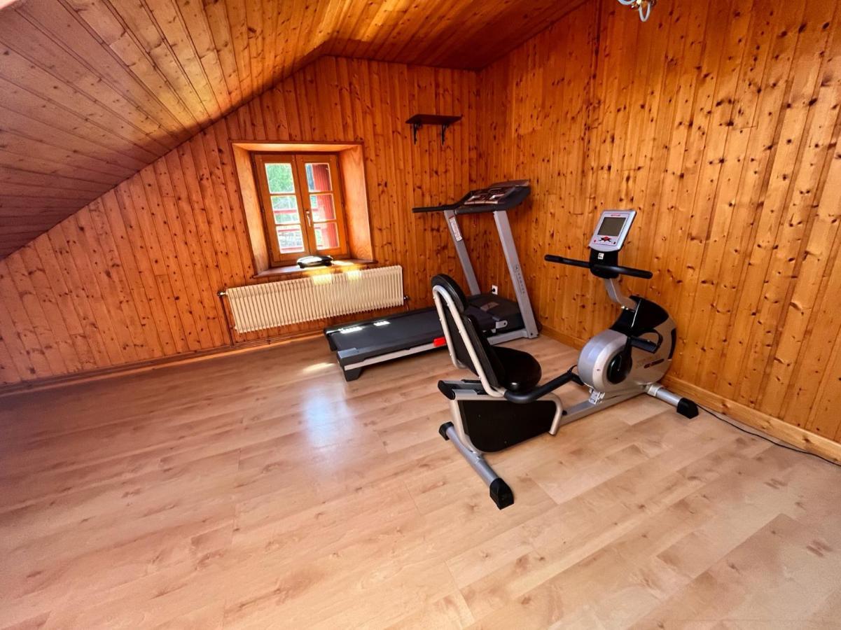 Ferme Des Jonquilles 15P - Billard, Ps4, Salle De Sport Gerardmer Exterior photo