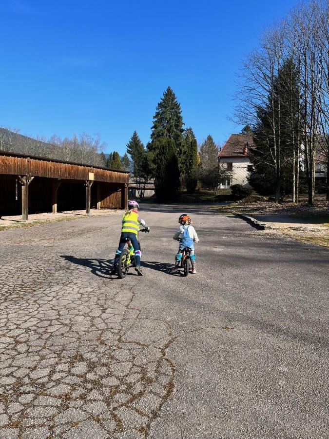 Ferme Des Jonquilles 15P - Billard, Ps4, Salle De Sport Gerardmer Exterior photo
